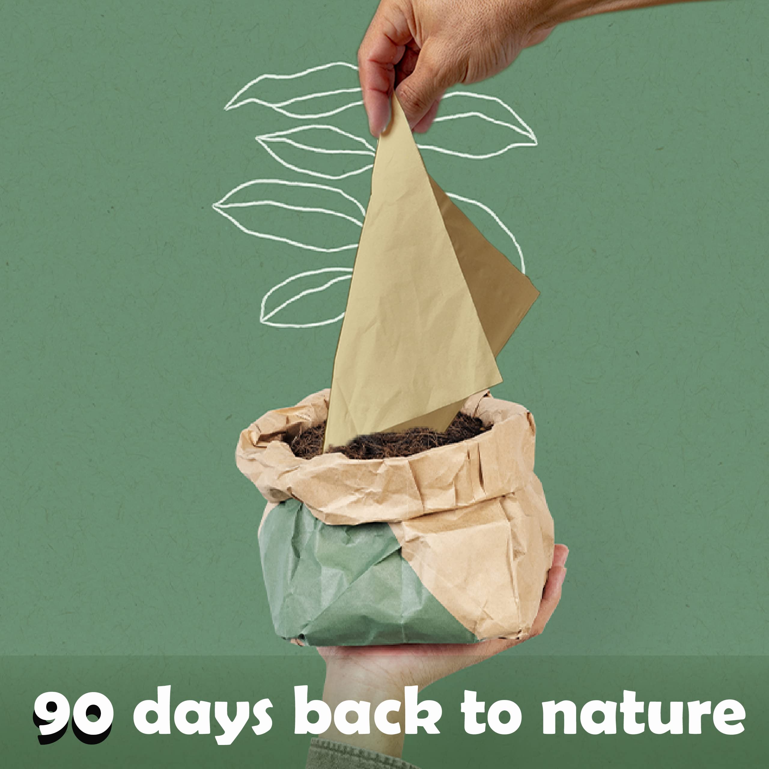 50 Pcs Organic Makeup Removal